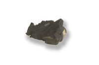 M 07519
<br/>
<br/>
<em></em>